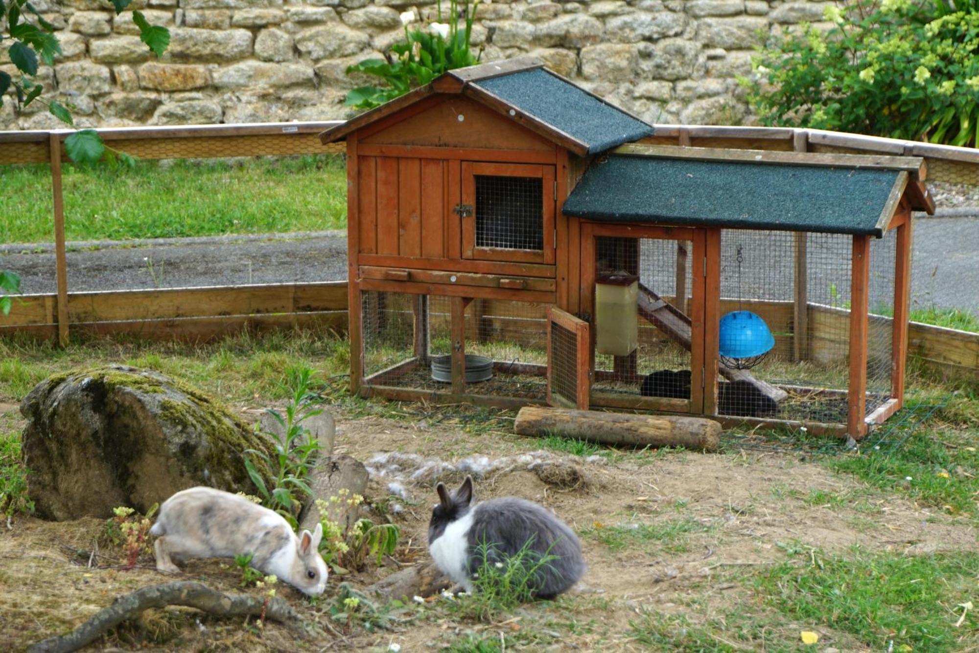 Auberge Ti'Gousket Guingamp Exteriör bild